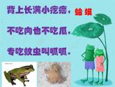 湘藝版二年級(jí)下冊(cè)音樂 第九課 （演唱）數(shù)蛤蟆(1)（課件）