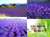 湘藝版二年級(jí)下冊(cè)音樂(lè) 第六課 （聽(tīng)賞）加伏特舞曲（課件）