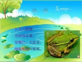 湘艺版二年级下册音乐 第九课 数蛤蟆（课件）