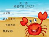 湘艺版二年级下册音乐 第九课 （歌表演）螃蟹歌(1)（课件）