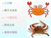 湘艺版二年级下册音乐 第九课 （歌表演）螃蟹歌(4)（课件）