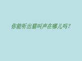 湘艺版二年级下册音乐 第三课 跳圆舞曲的小猫_（课件）