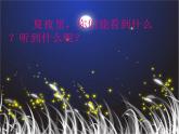湘艺版二年级下册音乐 第十二课 美丽的夏夜_（课件）