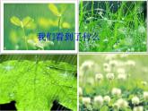 人音版音乐一年级下册 第1课 小雨沙沙  课件（14ppt）
