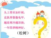 三年级下册音乐课件第五单元 欣赏 小松树 ｜人教版   18张