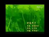 三年级下册音乐课件第六单元 欣赏 阿拉木汗 ｜人教版  21张