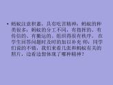一年級下冊音樂課件 - 第一單元《唱歌　小螞蟻》人教版   10張