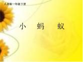 一年級下冊音樂課件 - 第一單元《唱歌　小螞蟻》人教版    10張