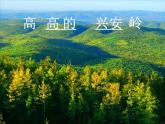 一年级下册音乐课件第五单元 唱歌　勇敢的鄂伦春｜人教版  21张