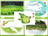一年级下册音乐课件第二单元 欣赏 春天音乐会｜人教版   9张