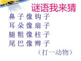 小学音乐人音版  一年级下册 两只小象 1 课件