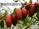 小学音乐人音版 二年级下册 新疆是个好地方 课件