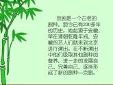 小学音乐人音版  二年级下册 都有一颗红亮的心 课件