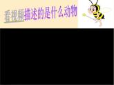 小学音乐人音版  二年级下册 蜜蜂 课件