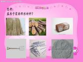 小学音乐人音版  二年级下册 三只小猪 1 课件