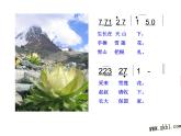 小學音樂人音版  二年級下冊 我愛雪蓮花 1 課件