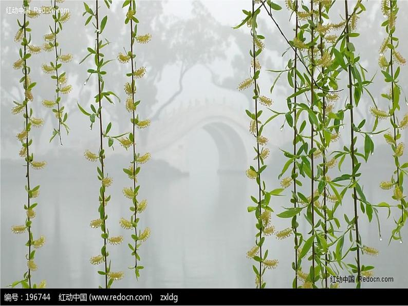 小学音乐人音版 三年级下册柳树姑娘 课件第7页