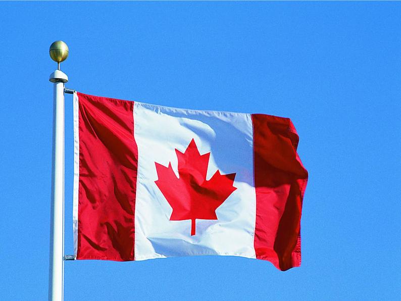 小学音乐人音版 四年级下册 演唱白桦林好地方1 课件04