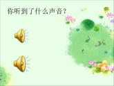 小學音樂人音版 四年級下冊 演唱癩蛤蟆和小青蛙2 課件