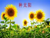 小學(xué)音樂人音版 四年級下冊 演唱種太陽3 課件