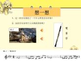 小学音乐人音版 四年级下册 聆听彼得与狼2 课件