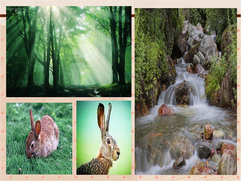 小学音乐人音版 四年级下册 演唱山谷静悄悄 1 课件第4页