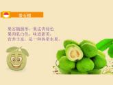 小学音乐人教版 四年级下册木瓜恰恰恰2 课件