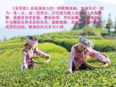 小学音乐人教版 四年级下册少先队员采茶歌 课件
