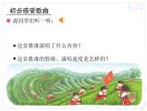 小学音乐人教版 四年级下册少先队员采茶歌 课件