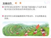 小学音乐人教版 四年级下册少先队员采茶歌 课件