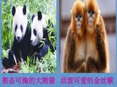 小學(xué)音樂人教版 五年級下冊吹起羌笛跳鍋莊 1 課件