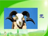 小學(xué)音樂人教版 五年級下冊吹起羌笛跳鍋莊 2 課件