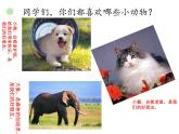 一年級(jí)下冊(cè)音樂(lè)課件第三單元 歌表演 小動(dòng)物唱歌｜人教版   24張