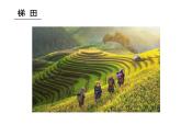 一年級下冊音樂課件第五單元 唱歌 其多列｜人教版   18張