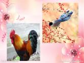 一年級(jí)下冊(cè)音樂(lè)課件第三單元 歌表演 小動(dòng)物唱歌｜人教版  11張