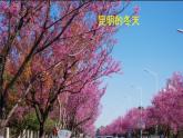 小学音乐 冀少2011课标版 五年级上 堆雪人 《走过四季——堆雪人》 省优课件