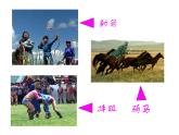 四年级下册音乐课件－2.4读谱唱歌 可爱的羊群｜湘教版（2014秋）