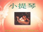 四年級(jí)下冊(cè)音樂課件－3.5認(rèn)識(shí)樂器 小提琴｜湘教版（2014秋）