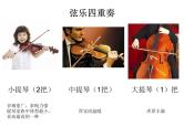 湘艺版小学音乐五下 10.2快乐的萨丽哈 课件