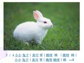 一年級(jí)下冊(cè)音樂(lè)課件第三單元 歌表演 小動(dòng)物唱歌｜人教版   15張 (1)