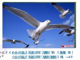 一年級(jí)下冊(cè)音樂(lè)課件第三單元 歌表演 小動(dòng)物唱歌｜人教版   15張 (1)