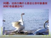 一年级下册音乐课件第三单元 唱歌 咏鹅｜人教版   21张