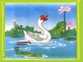 一年级下册音乐课件第三单元 唱歌 咏鹅｜人教版  12张