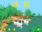 一年级下册音乐课件第三单元 唱歌 咏鹅｜人教版