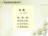 一年级下册音乐课件第三单元 唱歌 咏鹅｜人教版  7张