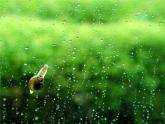 一年级下册音乐课件第二单元《唱歌 小雨沙沙沙 》 人教版  20张