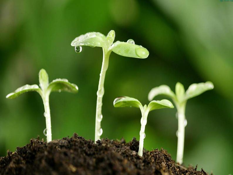 一年级下册音乐课件第二单元《欣赏 春之歌》 人教版   17张第2页