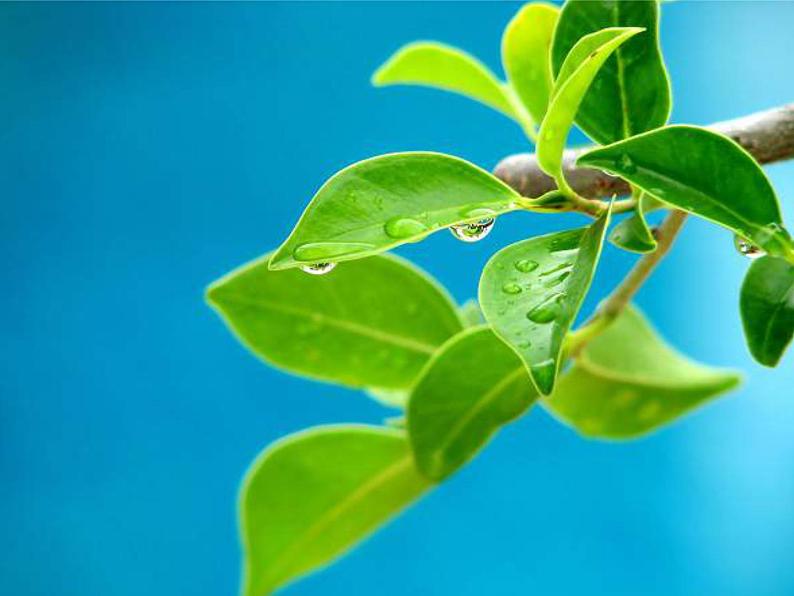 一年级下册音乐课件第二单元《欣赏 春之歌》 人教版   17张第3页