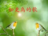 湘艺版小学音乐四下 8.1演唱 知更鸟的歌 课件