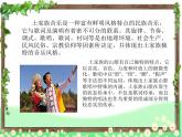 湘艺版小学音乐四下 7.2音乐知识 倚音 课件